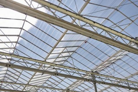 Ви зараз переглядаєте Іспанська Croptiq запустила незалежний консалтинг для оцінки доцільності UV-C роботів у теплицях