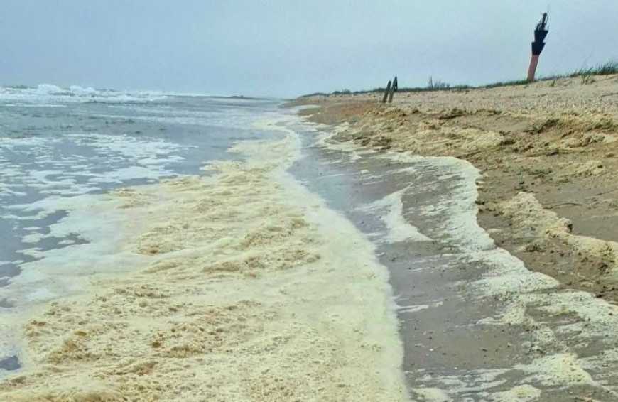 Ви зараз переглядаєте На Одещині розлив олії у Чорному морі, спричинений атакою рф, досяг акваторії Нацпарку