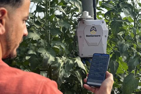 Ви зараз переглядаєте Іспанська Bee Sensors розробила модульну платформу моніторингу: до 40 сенсорів і рекомендації для агронома за секунди