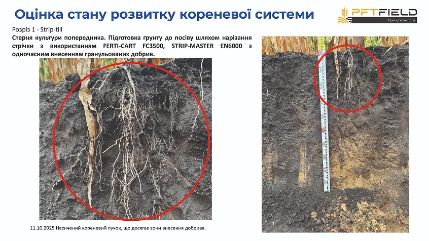 Битва за врожай на Полтавщині: Strip-till переміг оранку в сезоні-20254