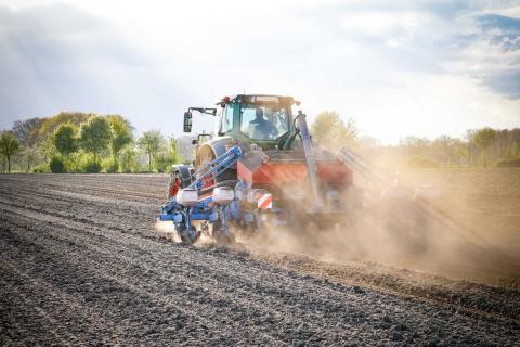 Ви зараз переглядаєте Сівба кукурудзи в посуху: коли коткування після висіву може допомогти, а коли — зашкодити