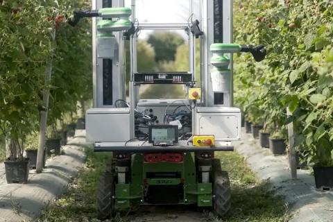 Ви зараз переглядаєте Fieldwork Robotics залучила £3 млн на комерційне впровадження роботів для збирання ягід