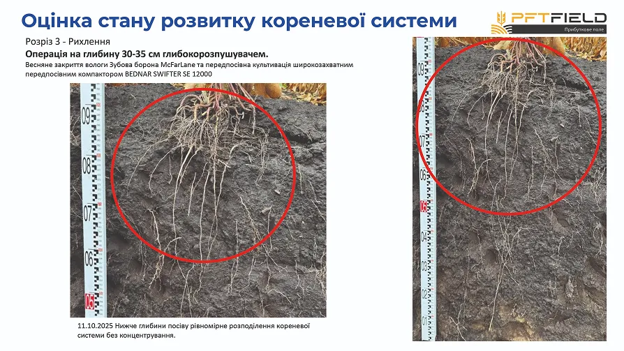 Битва за врожай на Полтавщині: Strip-till переміг оранку в сезоні-20252