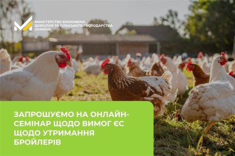 Ви зараз переглядаєте Мінекономіки запрошує на онлайн-семінар щодо вимог ЄС до благополуччя бройлерів