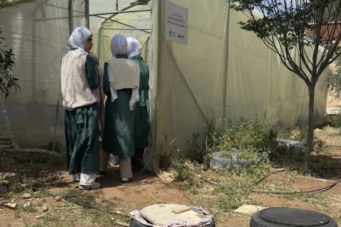 Ви зараз переглядаєте У школах Йорданії за пів року збудували 16 теплиць у межах освітнього проєкту Anera