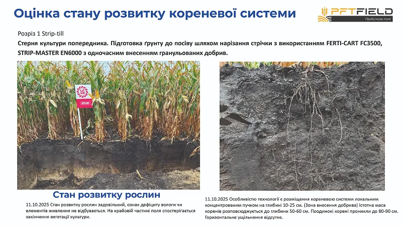 Битва за врожай на Полтавщині: Strip-till переміг оранку в сезоні-20255