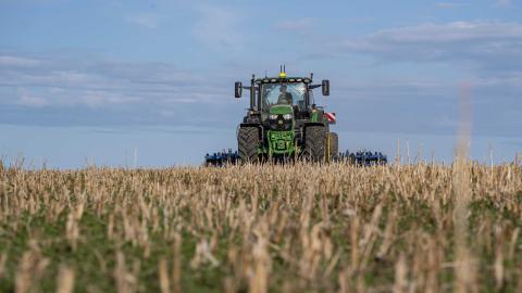 Ви зараз переглядаєте У Німеччині з 2026 року дозволять виняток із вимоги GLÖZ 6 щодо покриву ґрунту в зонах ризику цикадки Pentastiridius leporinus