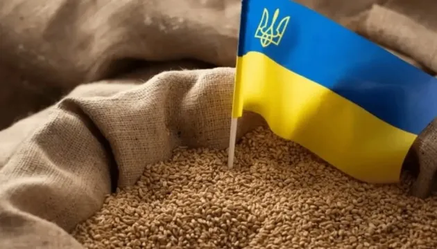 Ви зараз переглядаєте Ізраїль може обмежити імпорт зерна: що очікувати Україні