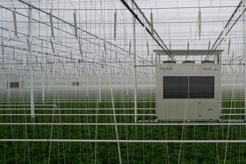 Ви зараз переглядаєте DryGair представила компактніший осушувач DG-12 50Hz для високорослих овочевих культур у теплицях