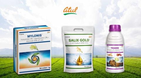 Ви зараз переглядаєте Atul Ltd вивела на ринок Індії три нові ЗЗР для рису, сої та арахісу