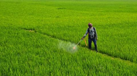 Ви зараз переглядаєте Індія схвалила 12 нових пестицидних продуктів за розділом 9(3): акцент на сумішах і протруюванні насіння