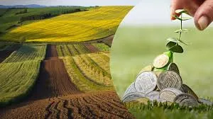 Ви зараз переглядаєте В Україні планують випустити земельні облігації