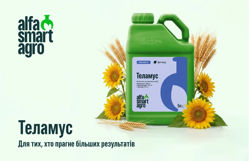 Ви зараз переглядаєте Теламус: фунгіцидна технологія для здорового листка і високої продуктивності