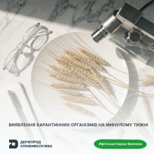 Ви зараз переглядаєте Фітосанітарна безпека: за тиждень видано 4024 фітосанітарні сертифікати