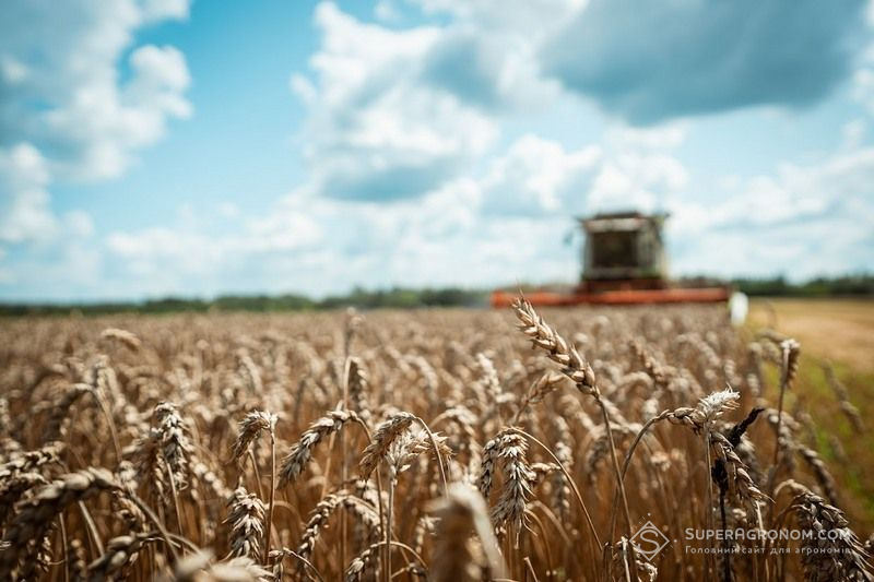 Ви зараз переглядаєте Холодна весна не завадить Україні зберегти валовий збір на рівні 60 млн тонн — Висоцький
