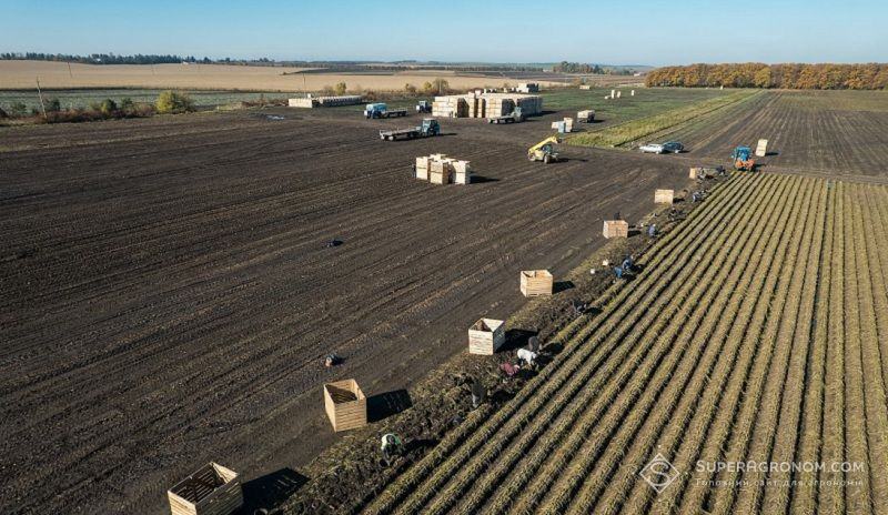 Ви зараз переглядаєте Іноземні працівники в агро в найближчі роки не стануть масовим рішенням