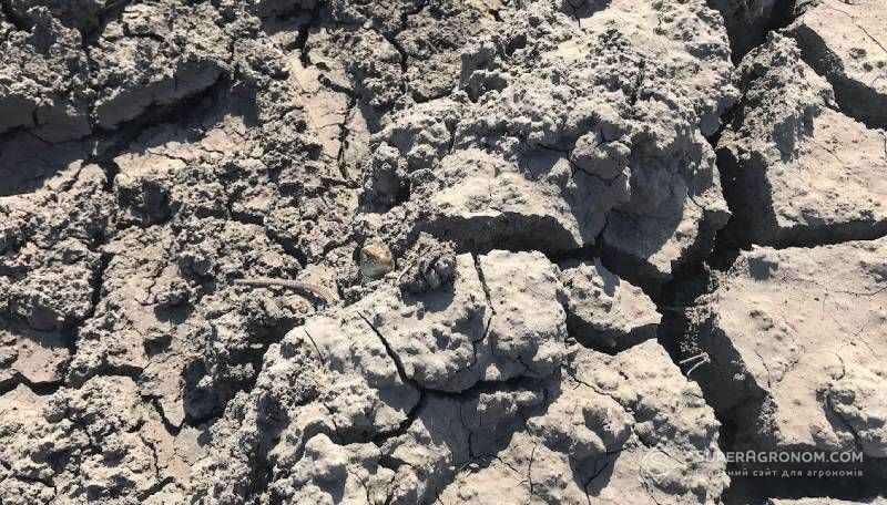 Ви зараз переглядаєте Кліматологи попереджають про нові погодні ризики в Україні