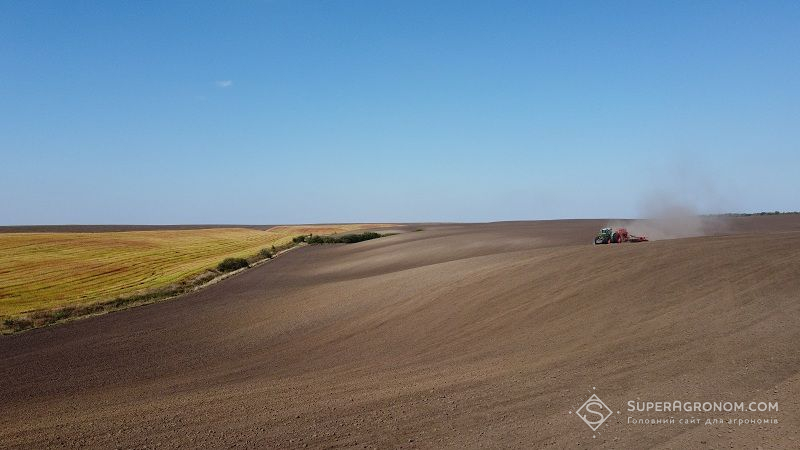 Ви зараз переглядаєте Під урожай 2026 в МХП посіяли 21 тис. га високоолеїнового соняшнику