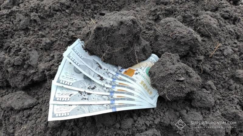 Ви зараз переглядаєте Ринок землі в Україні продовжує дорожчати, найактивніше землю скуповують на Вінниччині