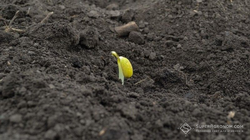 Ви зараз переглядаєте Ширші міжряддя та подвійна інокуляція: АГРОТРЕЙД оновлює технологію вирощування сої