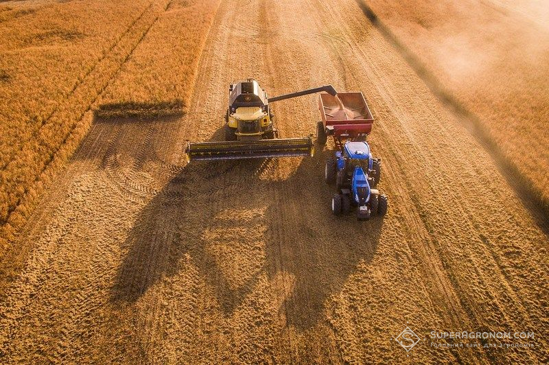 Ви зараз переглядаєте Скорочення посівів пшениці в Австралії може спричинити нове зростання світових цін на зерно