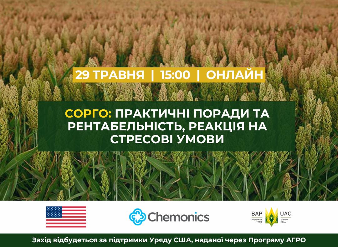 Ви зараз переглядаєте Сорго: практичні поради та рентабельність, реакція на стресові умови