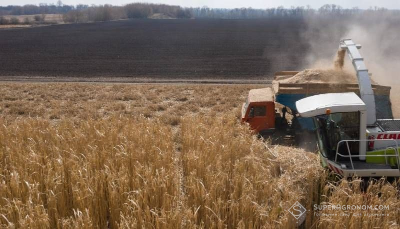 Ви зараз переглядаєте В Україні розвивають модель відновлення земель через вирощування міскантусу