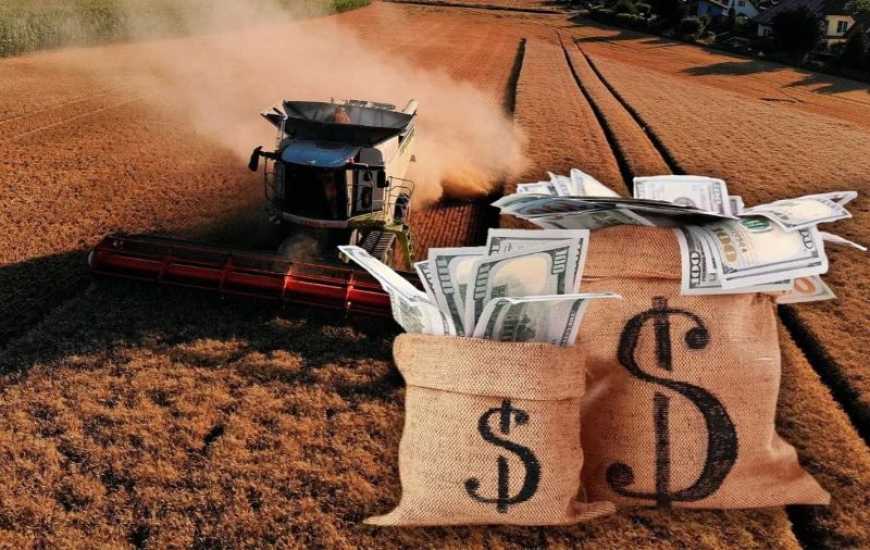 Ви зараз переглядаєте Ринок землі: ціни в Україні за рік зросли майже на 13%
