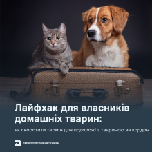 Ви зараз переглядаєте Держпродспоживслужба пояснила, як скоротити термін підготовки до подорожі з домашньою твариною за кордон