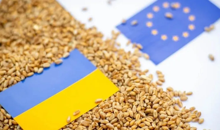 Ви зараз переглядаєте Україна повністю використала річну квоту на експорт пшениці до ЄС