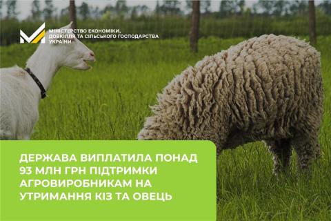 Ви зараз переглядаєте Держава виплатила понад 93 млн грн підтримки агровиробникам на утримання кіз та овець