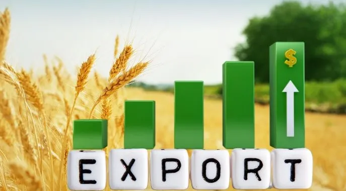 Ви зараз переглядаєте Україна у травні скоротила експорт агропродукції