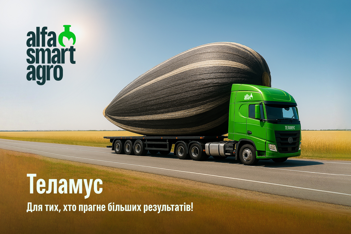 Захист соняшнику від хвороб7