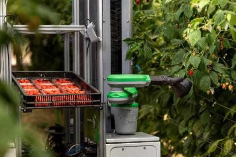 Ви зараз переглядаєте Fieldwork Robotics залучила нові інвестиції для комерційного запуску робота-збирача малини