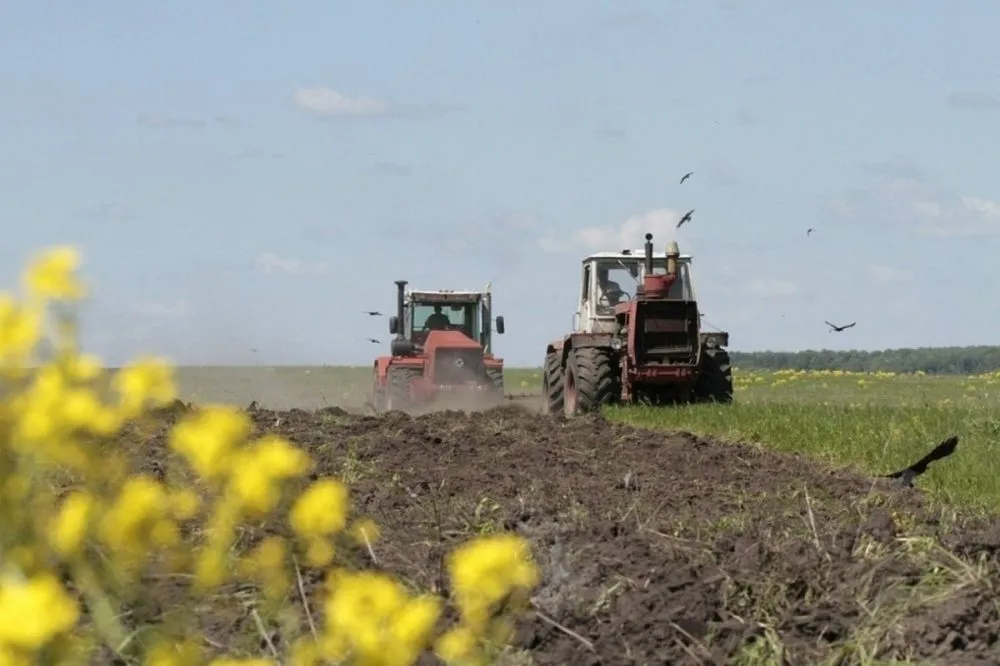 Ви зараз переглядаєте В Україні практично завершена посівна кампанія