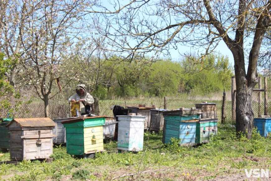 Ви зараз переглядаєте Школяр з Волині самотужки робить вулики та доглядає пасіку дядька, який пішов на фронт