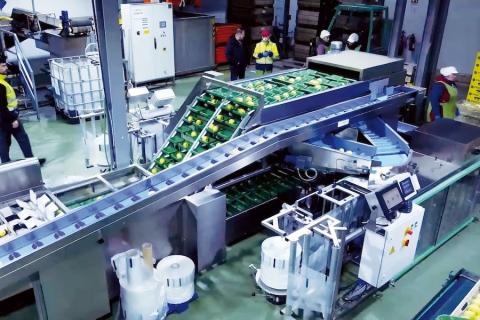 Ви зараз переглядаєте Maf Roda Agrobotic інтегрує багатоголовий ваговий дозатор Strauss EW20 для пакування яблук за вагою
