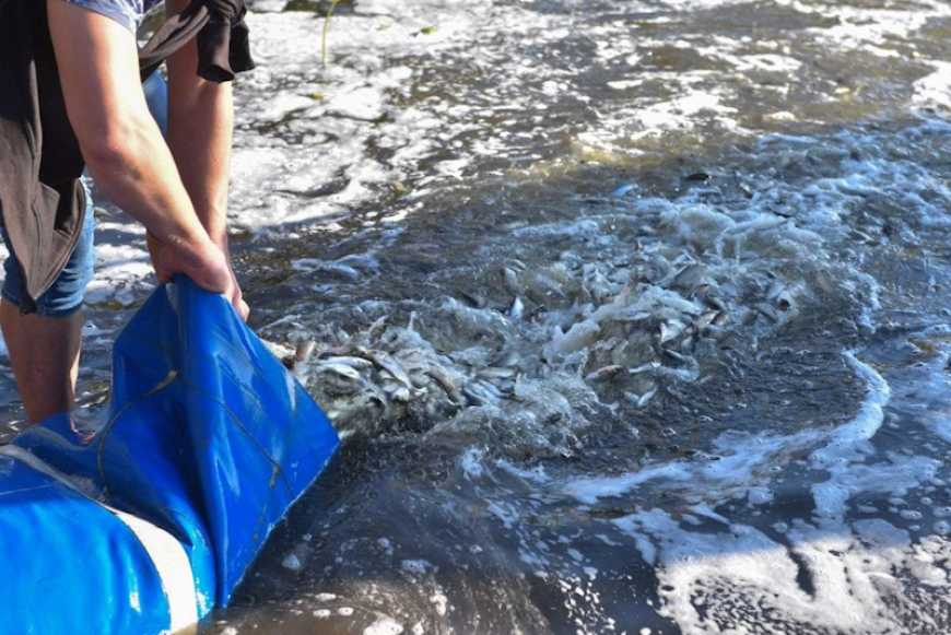 Ви зараз переглядаєте Зариблення Кременчуцького водосховища: тендер оголошено повторно