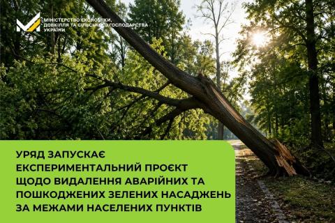 Ви зараз переглядаєте Кабмін запускає експериментальний проєкт щодо видалення аварійних і пошкоджених зелених насаджень за межами населених пунктів
