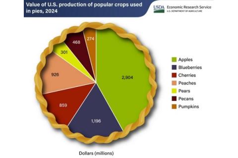 Ви зараз переглядаєте USDA: у 2024 році яблука дали США понад $2,9 млрд виручки серед «пирогових» культур
