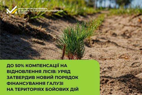 Ви зараз переглядаєте Уряд затвердив новий порядок фінансування лісової галузі: до 50% компенсації на відновлення лісів