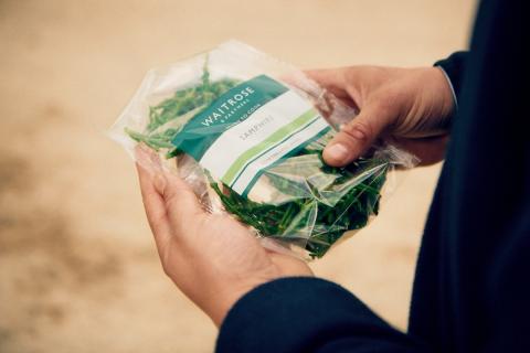 Ви зараз переглядаєте Waitrose заявив про цілорічні поставки британського самфіру завдяки гідропоніці в теплицях
