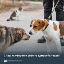Ви зараз переглядаєте Держпродспоживслужба нагадала, як уберегти себе та домашніх тварин від сказу