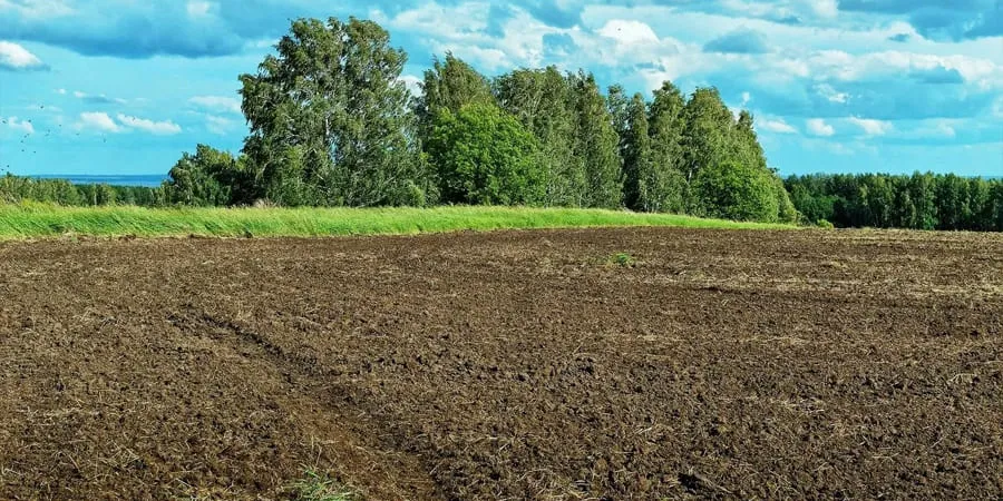 Ви зараз переглядаєте Стало відомо, коли держава може законно забрати землю у власника