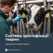 Ви зараз переглядаєте Ідентифікація тварин в Україні: за п’ять місяців зареєстровано понад 560 тис. тварин