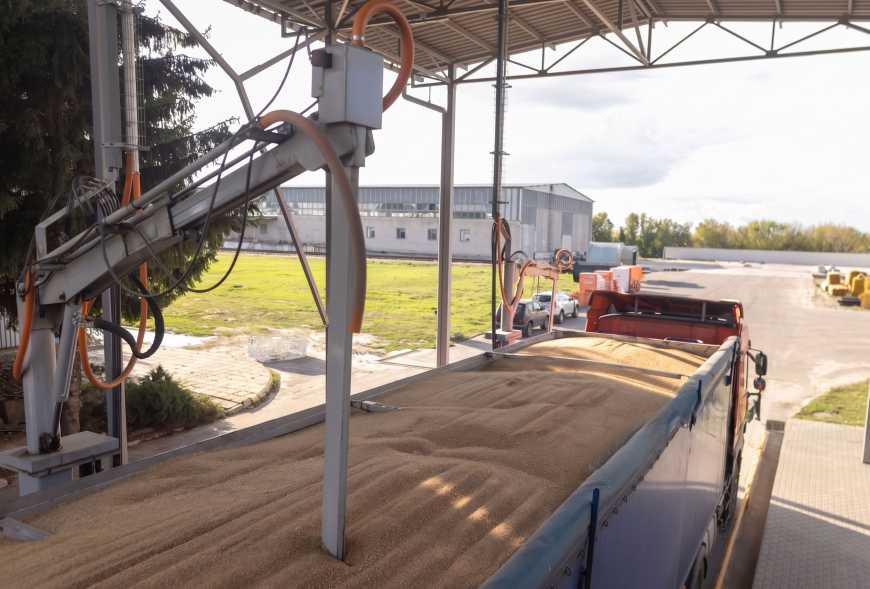 Ви зараз переглядаєте Махінації на елеваторах: штучне зволоження зерна і схема обману