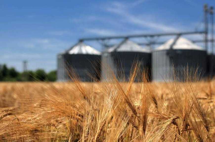 Ви зараз переглядаєте Господарство на Чернігівщині планує розширити елеватор до 180 тис. тонн одночасного зберігання