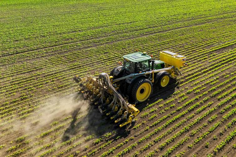 ROW-MASTER RN_PROFI з функцією John Deere AutoPath: точний міжрядний обробіток ґрунту нового покоління4
