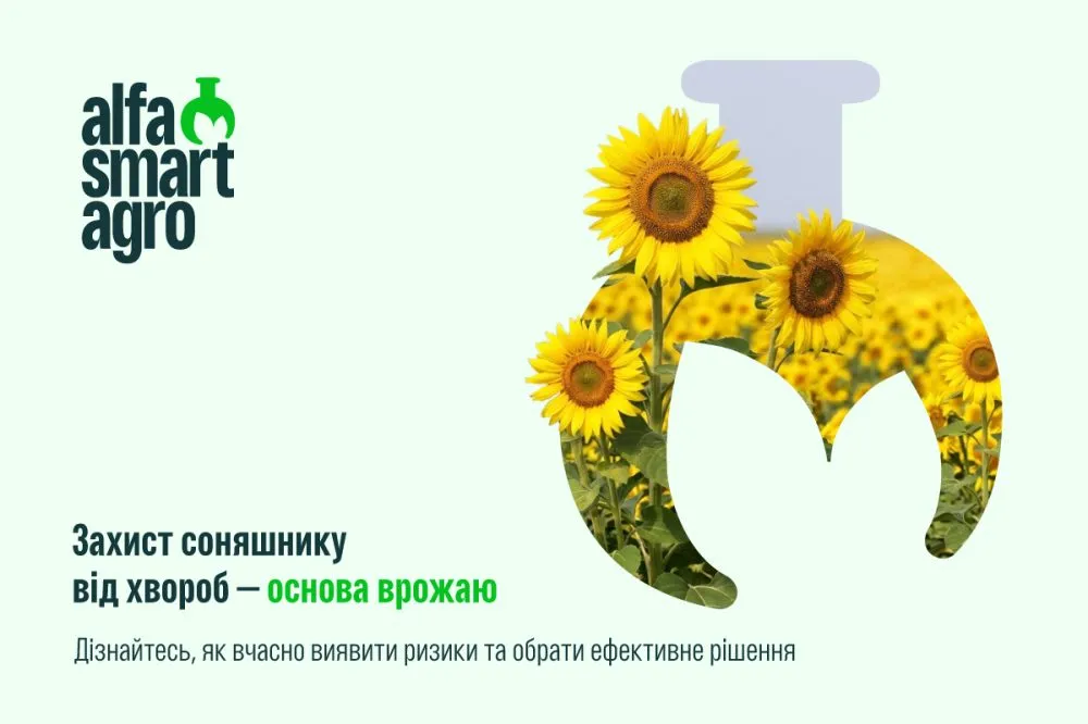 Ви зараз переглядаєте Захист соняшнику від хвороб