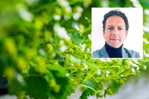Ви зараз переглядаєте CEO Bioline Agrosciences Джеррі Гюйгенс: ставка на технології внесення біоконтролю та 13–15% органічного зростання